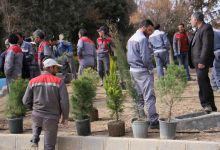 گزارش تصویری از آئیین درختکاری و تقدیر ازهمکاران فضای سبز دانشگاه